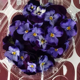 Пищевые цветы Виолы, 25 шт.